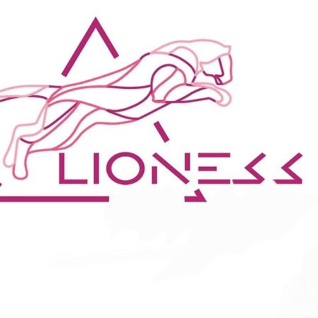 Lioness Estate - Dunedin Bagian luar foto